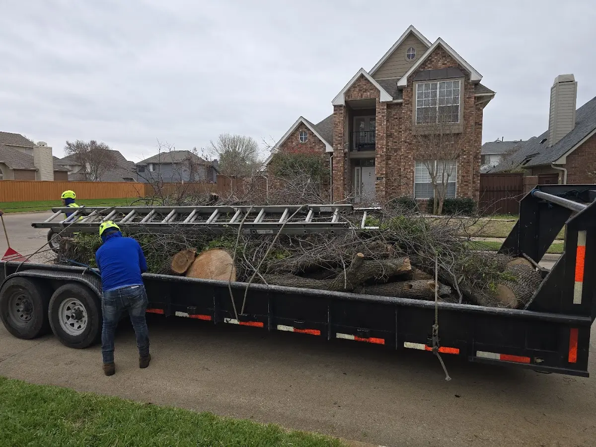 Expert Tree Removal with proper safety equipment in Darien Center
